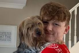 Why actors from Line of Duty, Jurassic World and Hollyoaks have been seen 