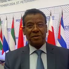 BRICS Cooperation Helps Boosting Multilateralism, Advocating UN Reforms:  Ethiopian Official