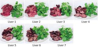 Jun 10, 2014 · you will be able to tell if chicken livers are bad from the smell and the color of the livers before cooking. Chicken Liver Images In Order Of Cooking Time Rareness Used In Survey Download Scientific Diagram
