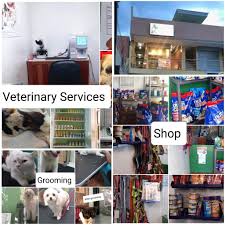 Ideal for pet owners in aecs layout, beml layout, kundalahalli, hoodi, whitefield, marathahalli, kr puram. St Roch Pet Care Grooming Shop Home Facebook