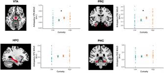 Many were content with the life they lived and items they had, while others were attempting to construct boats to. Tuned To Learn An Anticipatory Hippocampal Convergence State Conducive To Memory Formation Revealed During Midbrain Activation Biorxiv