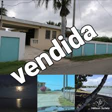 Profile for Nelson Sotelo