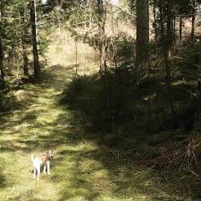 Image result for site:byggahus.se byte-stock