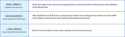 Duck Goose Diapers Avian Fashions
