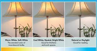 Private Site Choosing Light Bulbs White Light Bulbs Energy Efficient Light Bulbs