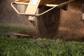 Maybe you would like to learn more about one of these? Houston Stump Grinding Removal Tree Company The Rain Co The Rain Co