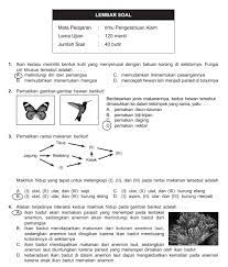 Download soal usbn sd 2019. Latihan Soal Dan Jawaban Usbn Ipa Sd 2020 Pendidikan Kewarganegaraan Pendidikan Kewarganegaraan