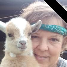 Looking for a reliable mechanic in the area