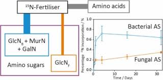 Contributing to sip ensures that you can manage your everyday finances, and that too without any hassle. 15n Amino Sugar Stable Isotope Probing 15n Sip To Trace The Assimilation Of Fertiliser N By Soil Bacterial And Fungal Communities Sciencedirect