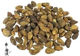 Image result for Voacanga