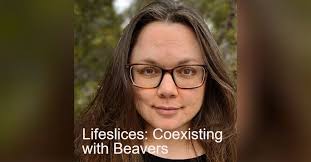 Lifeslices: Coexisting with Beavers
