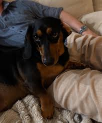 Tô Thuỳ Linh | @threadsandthirst.vn 🥂 | Instagram