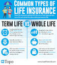 What type of life insurance policy is best for me?