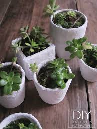 Diy Ensemble Pots Bandes Platre By Plumetismagazine Via Flickr Pot De Fleurs Diy Pot De Fleur Bande Platree