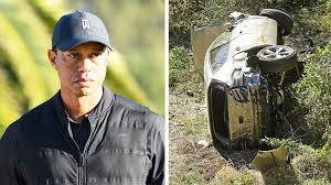 Puddy mcfadden license to golf. Szdsmzfbveduam