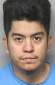 Tip leads to pot, mushroom charges