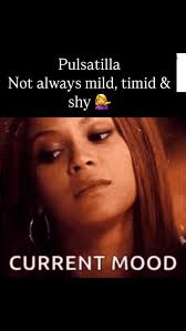 We are taught in Homeopathy college that Pulsatilla types are soft,  yielding and sensitive and need a lot of support from loved ones