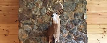 For most areas, a platform 4 to 6 feet above. Hunting Cabin Ideas Designs Ultimate Hunting Cabin Floor Plans