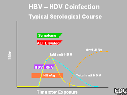 The group of acute respiratory viral infections includes more than two hundreds of various viruses, which manifest themselves through virtually similar symptoms Clinical