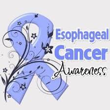Pin On Esophagus Cancer