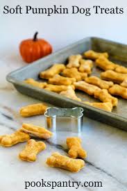 While many treats you can buy in stores are excellent, making diy treats some owners worry about their puppy's packing on the pounds. Soft Pumpkin Dog Treats Pook S Pantry Recipe Blog