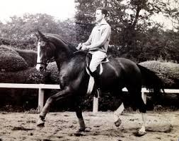 And the numbers speak for themselves: 1964 Tokyo Olympics Grete Kemper Groom Of Reiner Klimke S Dux Remembers Tokyo
