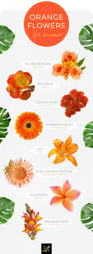 Also, what are some flowers that bloom in the spring? 20 Types Of Orange Flowers Ftd Com