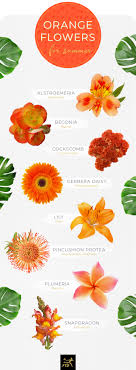 Different types of flowers and meanings. 20 Types Of Orange Flowers Ftd Com