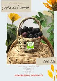 Image result for Anisophyllea boehmii