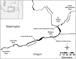 A Field Evaluation of an External and Neutrally Buoyant Acoustic  Transmitter for Juvenile Salmon: Implications for Estimating Hydroturbine  Passage Survival