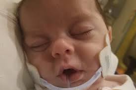 Fundraiser for Gracie Hope Reed by Kristin Hurd : Oliver Armendariz