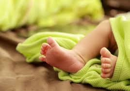 For humanoid crushing with bare feet. Three Parent Ivf Trialed For Infertility The Scientist Magazine