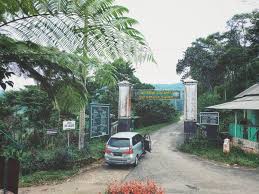 Ada juga canopy trail, yaitu kegiatan melewati. 5 Info Seputar Desa Wisata Malasari Di Bogor The Real Hidden Gem