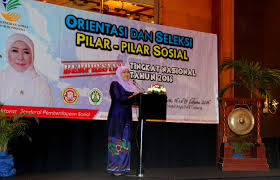 Hasil gambar untuk pekerja sosial masyarakat (psm)
