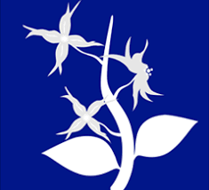Pin On Homeopathy
