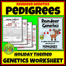 Genetic pedigree worksheet those notebooks are book 1 3 d ring binder contains introduction. Christmas Pedigree Worksheet Reindeer Genetics By Schilly Science