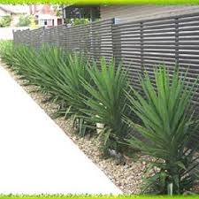 Love The Use Of Yuccas Here Front Yard Garden Design Front Yard Landscaping Front Yard Garden