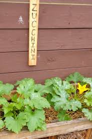Contact your local county agent to find out where to get straw bales in your area. How To Grow Vegetables In Straw Bales 6 Big Secrets To Success