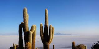We won't put any advertising on our. Ecuador Vs Bolivia Which Should You Visit Slight North