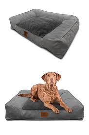 18 posts related to extra large dog beds amazon. American Kennel Club Memory Foam Sofa Pet Bed Dog Beds Amazon Extra Large Dog Beds Cute Dog Beds Waterproof Dog Crate Dog Bed Mat Pet Bed American Kennel Club