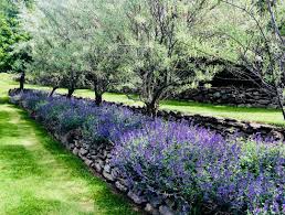 Pin On Terraced Gardens