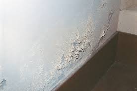 A basement waterproofing sealer is needed anytime a basement is built at ground level or below ground level where ground water can build up in the soil, raise the water table and thus travel through the concrete. Issues And Repairs Branz Maintaining My Home