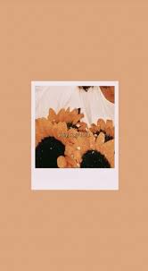 Vintage quotes vintage brown vintage collage vintage pink vintage wallpapers vintage floral vintage space vintage woman vintage dark vintage sunset. 67 Ideas Wallpaper Phone Vintage Shops For 2019 Aesthetic Iphone Wallpaper Iphone Wallpaper Vintage Sunflower Wallpaper