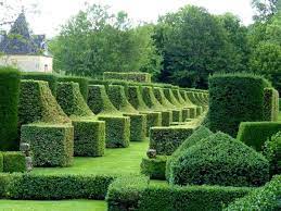 topiary jardins d eyrignac french garden topiary topiary trees