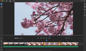 The key difference is that adobe launched the premiere rush mainly for you tubers, social media creators, video loggers i.e., for editing simple sequences. Adobe Rush Or Adobe Premiere Which Video Editing Tool Is Right For You