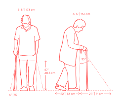 What is the proper height for a cane? Walking Assistive Cane Dimensions Drawings Dimensions Com