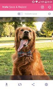 Her bir paylaşımın bağış yerine geçeceği save a dog nedir? Save Repost For Instagram For Android Apk Download