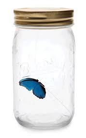 Butterfly In A Jar Gif Geek Toys Think Geek Butterfly