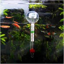 Temperature For Fish Tanks All You Need To Know