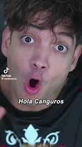 Reto Qué Significa Traer Otra Ala Cocodrilo Por Koala